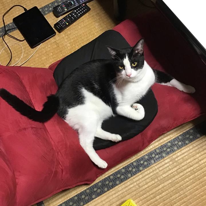 7809110d 43fc 4a62 a50d 432ae7a43b0e 1658579351749