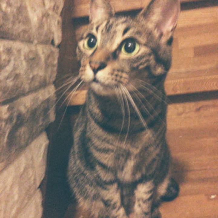 78091795 cd76 45cf 9804 4ad62854b1d6 1569601829904