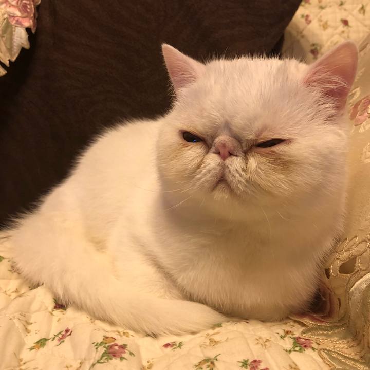 78092426 d3b8 4ef9 a5bd c71977cb1fb0 1560085559678