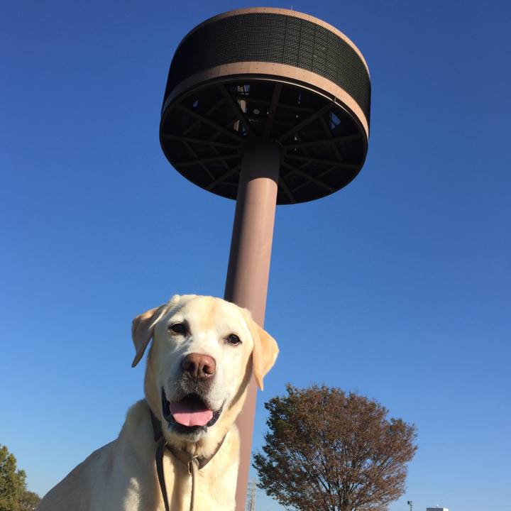 78092713 3fb8 42f1 93f2 95e916d1b5b8 1542274126696