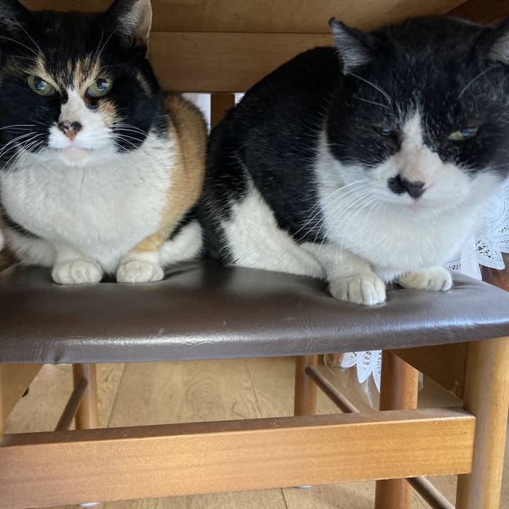 780933df 7a1a 4a7a 95db 41d1a432a3c2 1677455567950