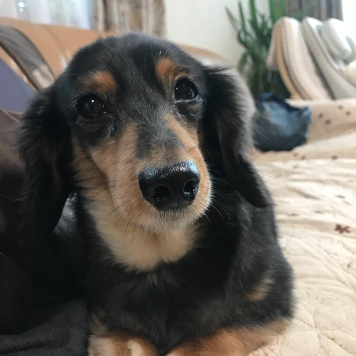 78093cdb 6b81 4d41 a798 9d765e6c6bde 1510783057274