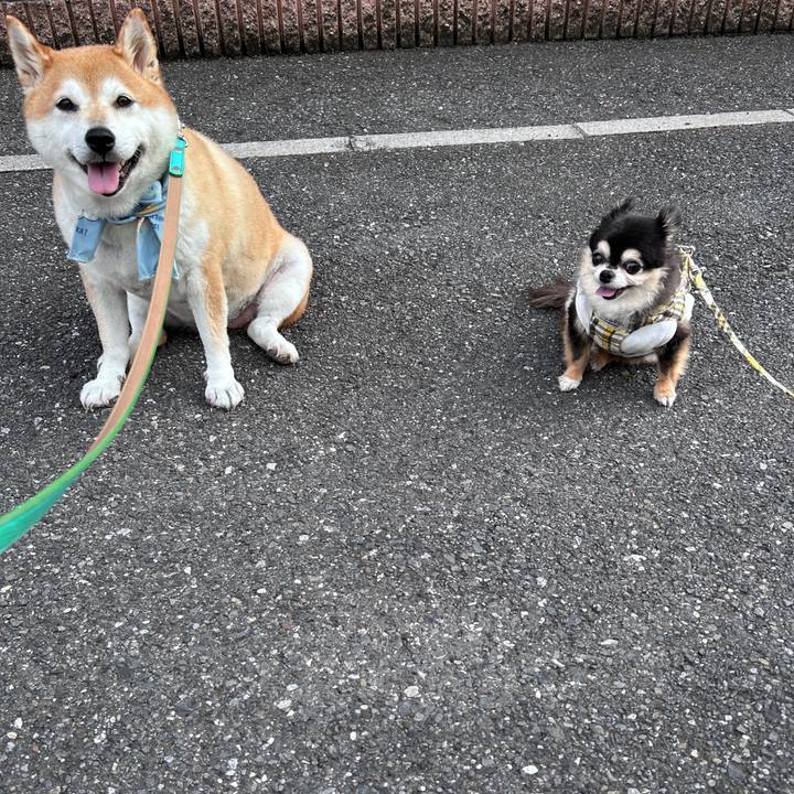 78093e1c 6586 4511 ae15 663cbc78c3f7 1724317818476