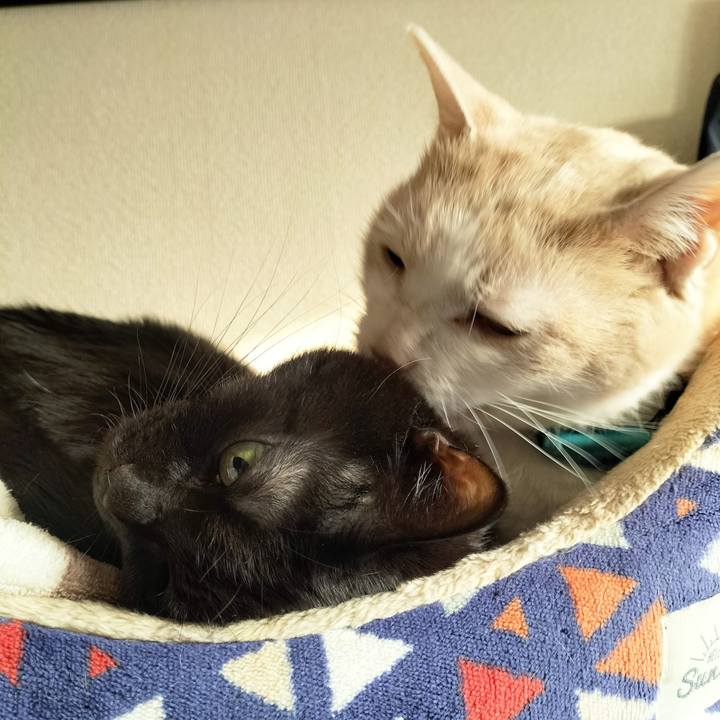 780963a0 9c1d 43b8 bc64 4ea7f362edcb 1673048387717