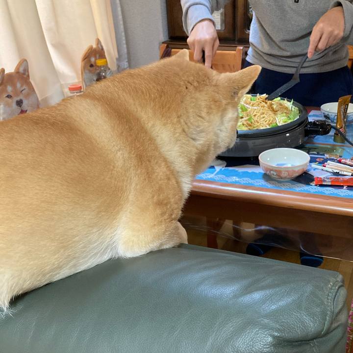 7809e9d8 5029 4507 84ba 18814c5b8973 1613982418570