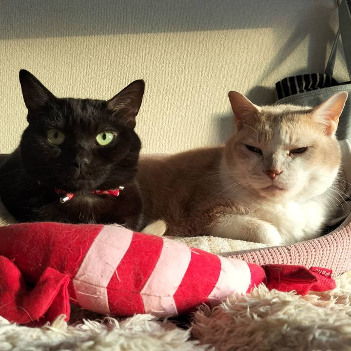 780a2b73 dc1f 4603 b089 3c865fa95bcc 1639608819961