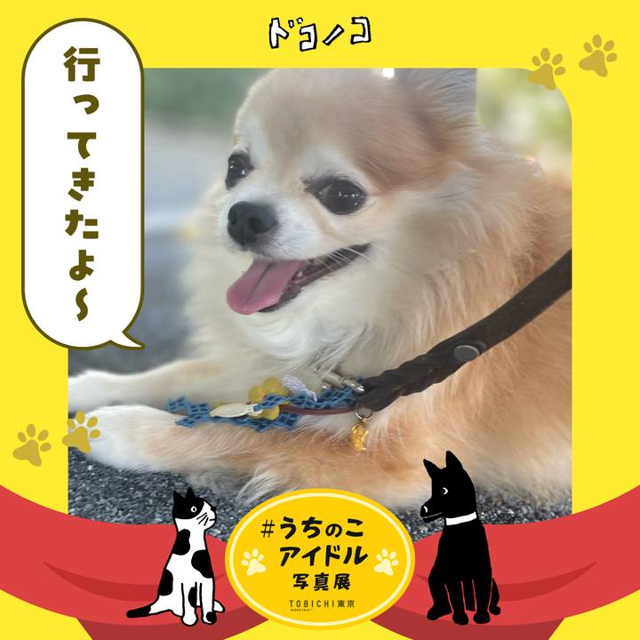 780a6af2 be86 4a33 bdcd 15b3e9e987ff 1761448164568