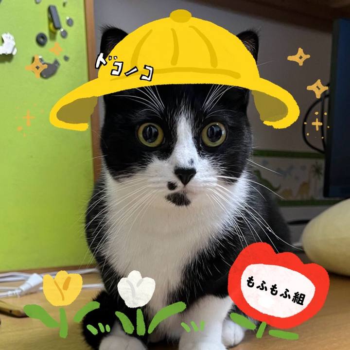 780a965e 62ca 4243 add4 36fa95d11534 1712312992201