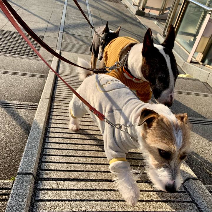 780a9ee4 ec0d 4460 ab70 b905f9947bbd 1611924431803