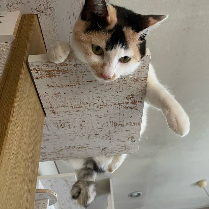 780ad0d5 533b 4c9b a743 f54287af4487 1688354958820