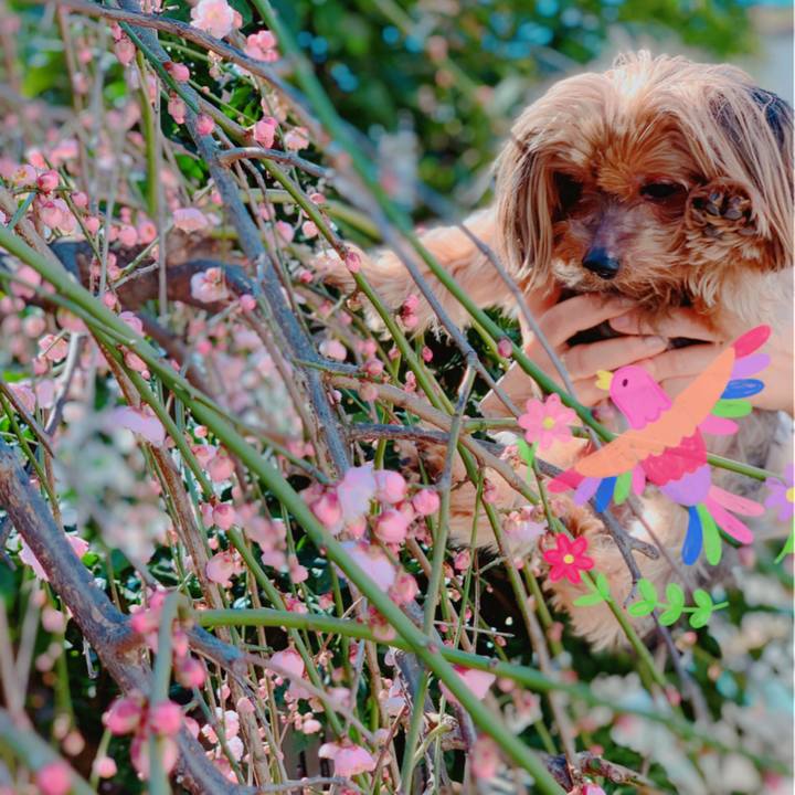 780b008f 9f21 422d 9884 8769aa9548d3 1580616499619