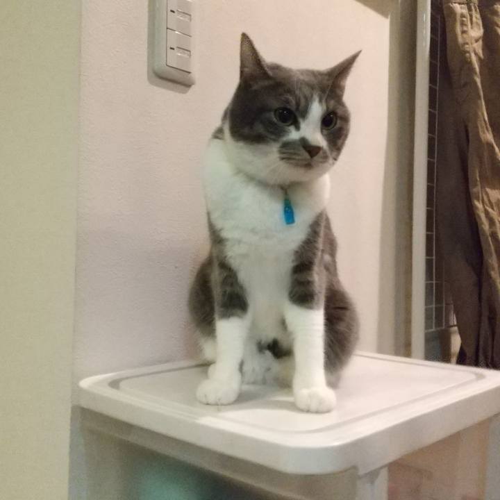 780b71dc d5b1 4f57 bf6c c54affd96b9c 1646741476059