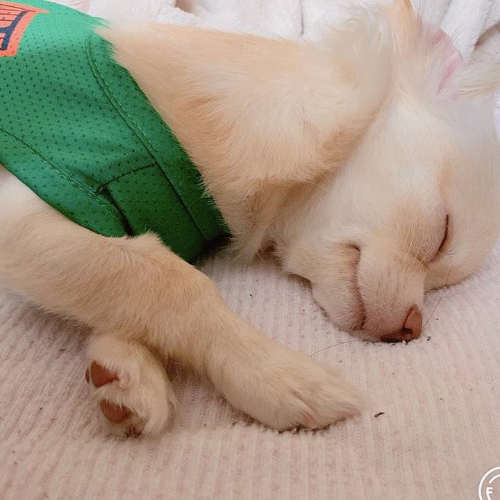 780bb75e 26c1 47c7 9ae7 428fe462ca58 1598924898430