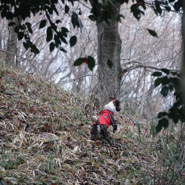 780bc7f3 ef59 486c 92e2 05a972101d12 1520635928329