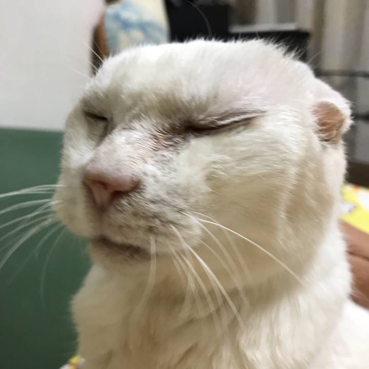 780bd809 9f37 45ca 9494 d7ba3bf425a2 1561989521190