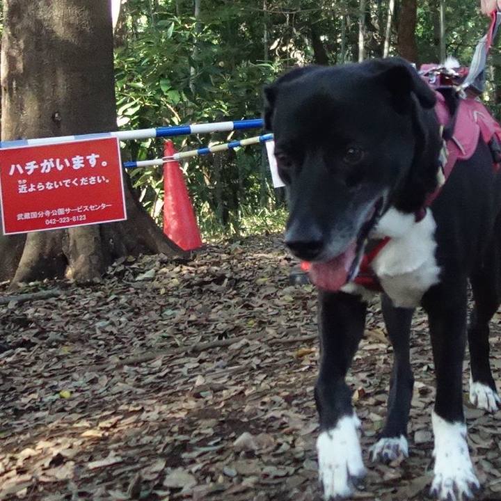 780bfdc7 593a 4c40 8f8a 4b9389f04da8 1697085210583