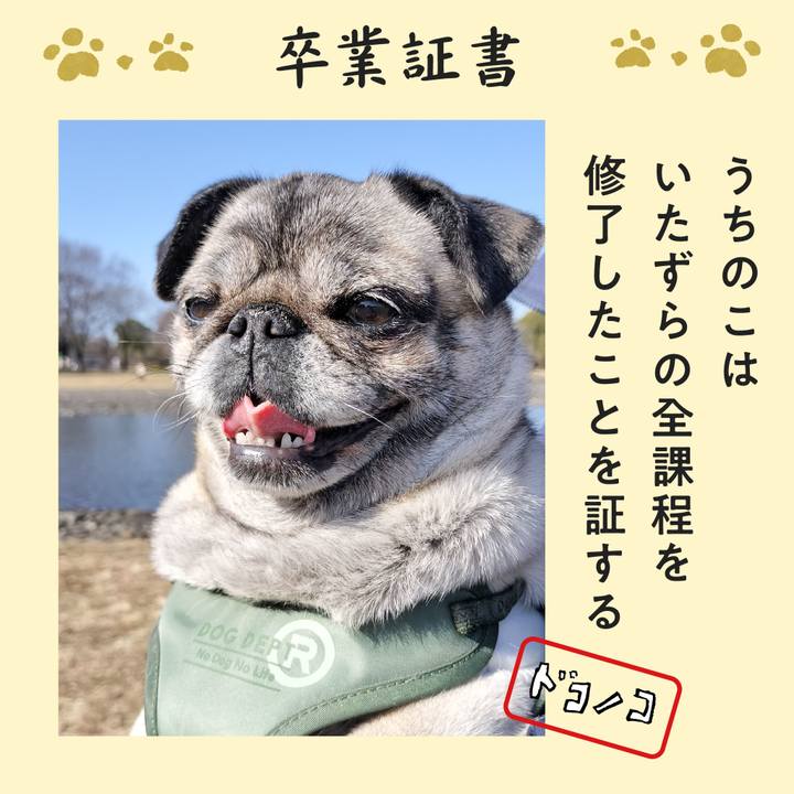 780c129d 8689 4d0c 92c2 29d4a5ac18d7 1771931610081