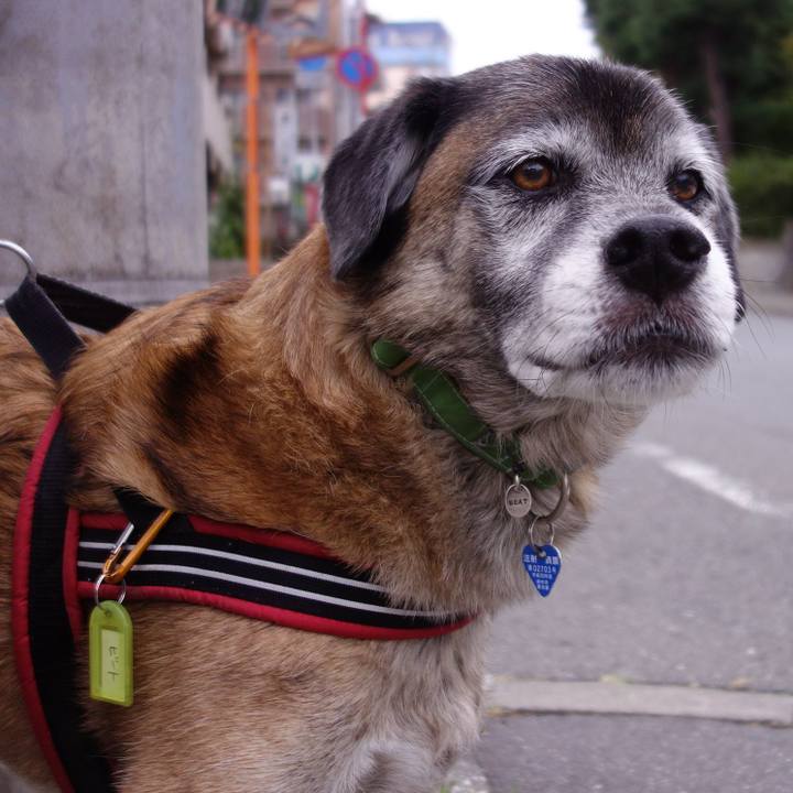 780c4a0b 1e2d 4765 976b c337a4e21e38 1539394712546