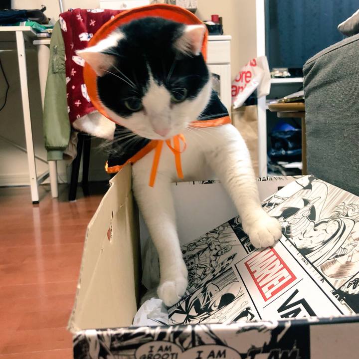 780ce04f 7fcd 4b9e aea3 b848c9418181 1540362679993