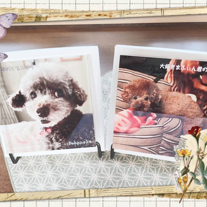 780cf9d7 19c8 4008 9105 02637897848e 1751707810169