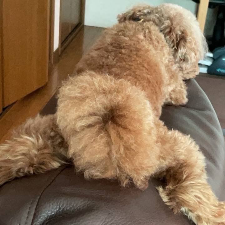 780d044b d16f 4e8f 8e02 d7cfcbbb5f76 1756459573113