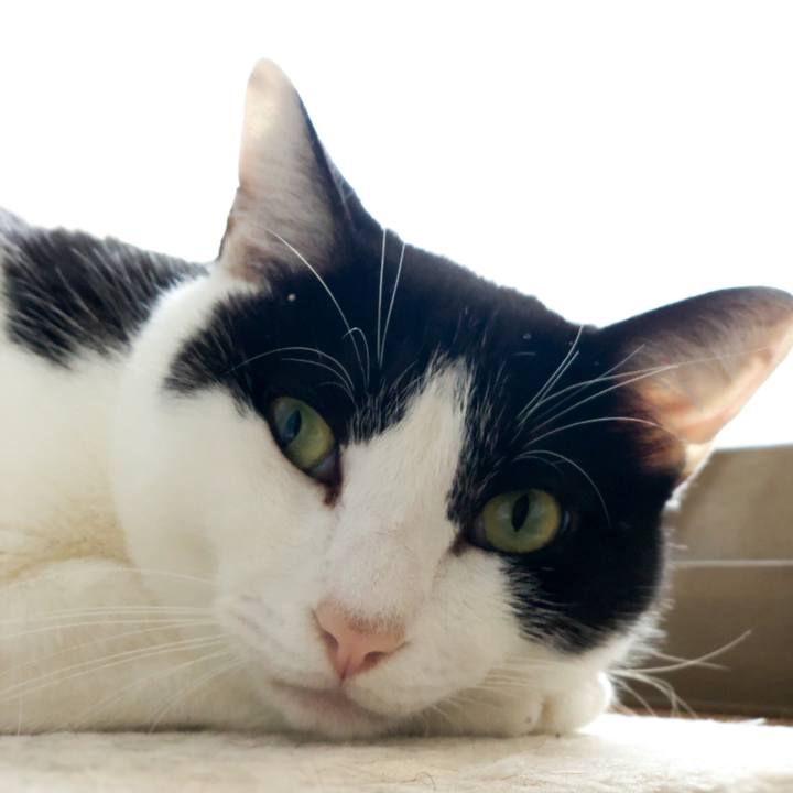 780d10eb 12c8 4d31 a582 3f3cb3eaa7c8 1546047102533