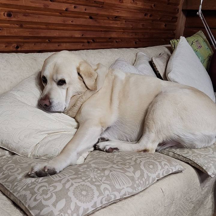 780d13e6 7ea9 43ef aba1 4daf3bb02c35 1765701023725