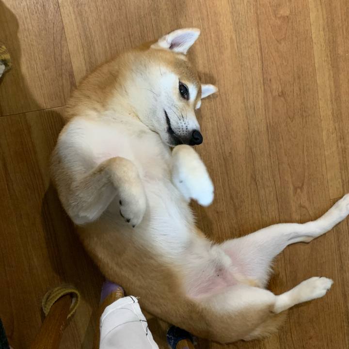 780d271a 5be8 4800 a60a 6a2c018db228 1596797481708