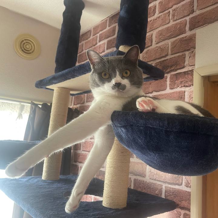 780d4217 9e2d 41b2 a7fa 0ede9b30a59e 1626837024657