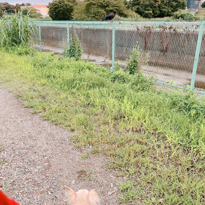 780d4611 d609 42a3 940f 66f569e22e52 1662715674424