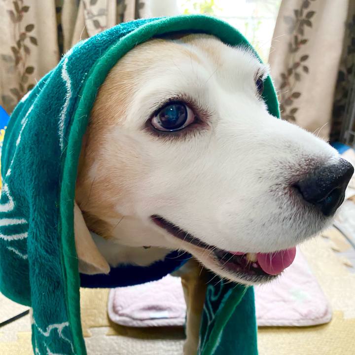 780d9cd7 9069 4677 8473 06653e9418e4 1615003005280