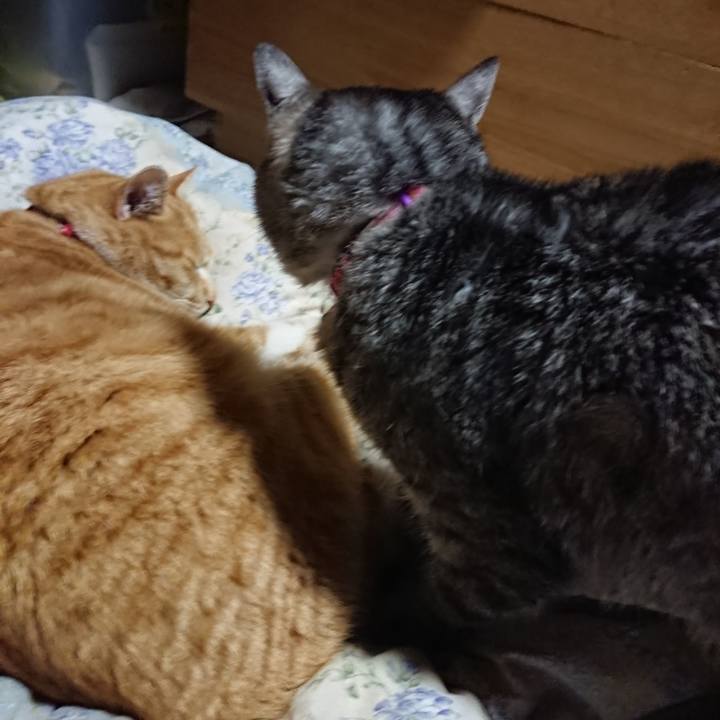 780daf10 007a 43d7 8bcf d0e6a2259888 1579347982045