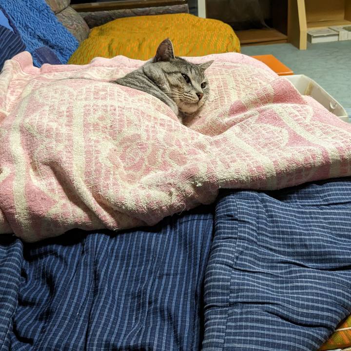 780e16d8 531e 44f8 9c49 6cab09c1f24d 1698077643949