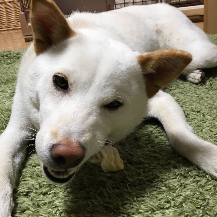 780e668f 0142 4a3c 933d 03ecf4b92c77 1513069956554