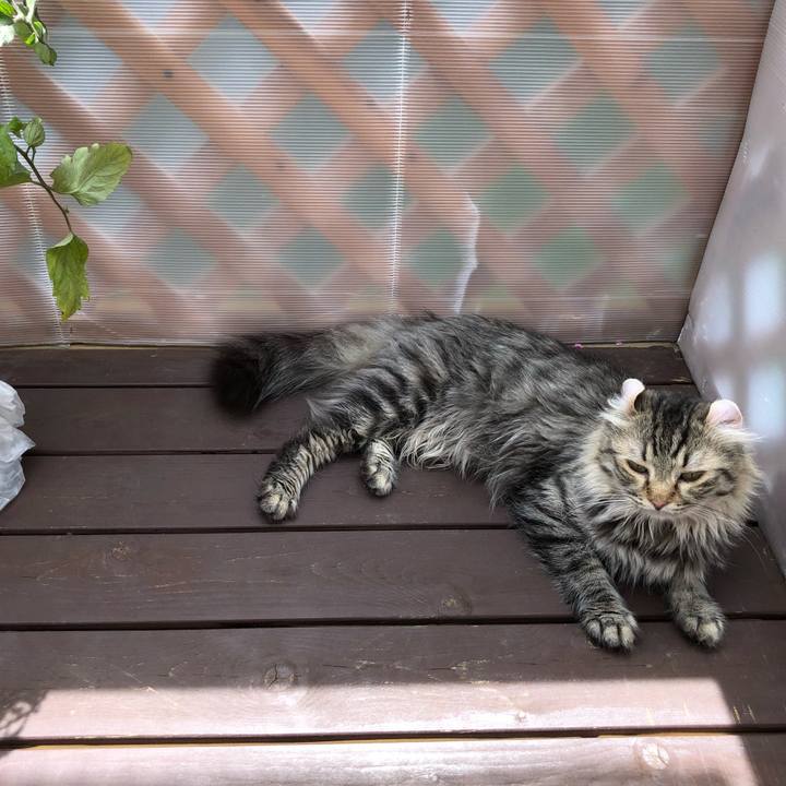 780e74b7 f638 4acd adb3 6e5ae2236b95 1565579714139