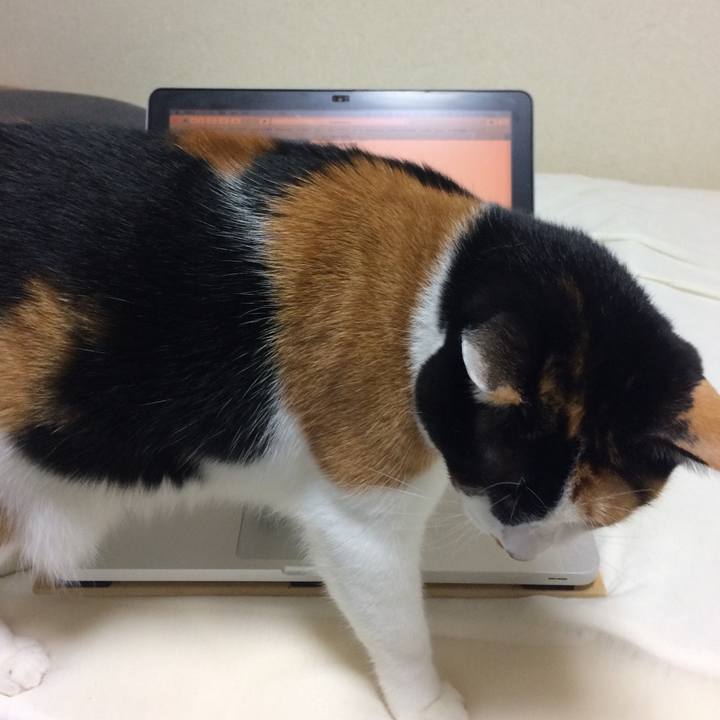 780ecdd3 f367 44af bcdb fe2f112be2b4 1576910285063