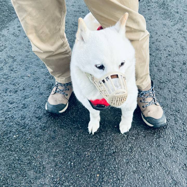 780f2493 fa8a 45d0 a51d 9c3f07935c2f 1711750032531