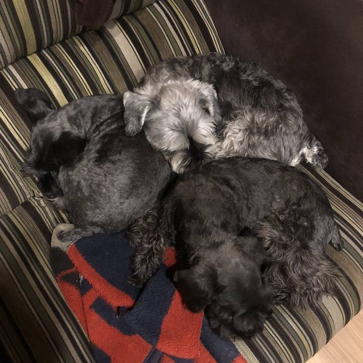 780f271d 3dd4 4380 b0b0 ed61f68c9dd6 1519998921514