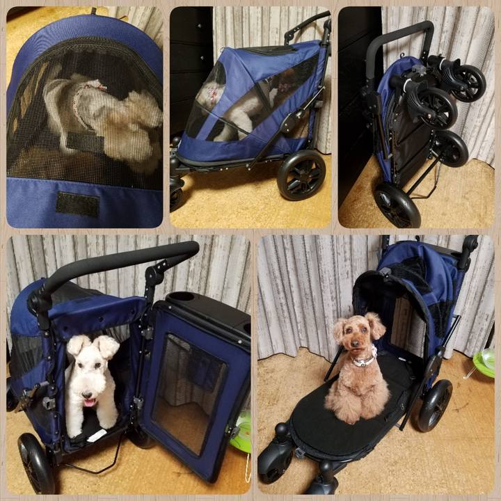 780f7f09 b43c 4b23 9191 291673ba5f9b 1561299818160