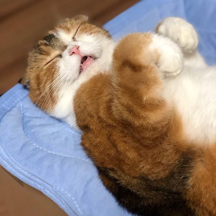 780f7f49 d76c 4c7d ad89 885dc04d63de 1567497607166