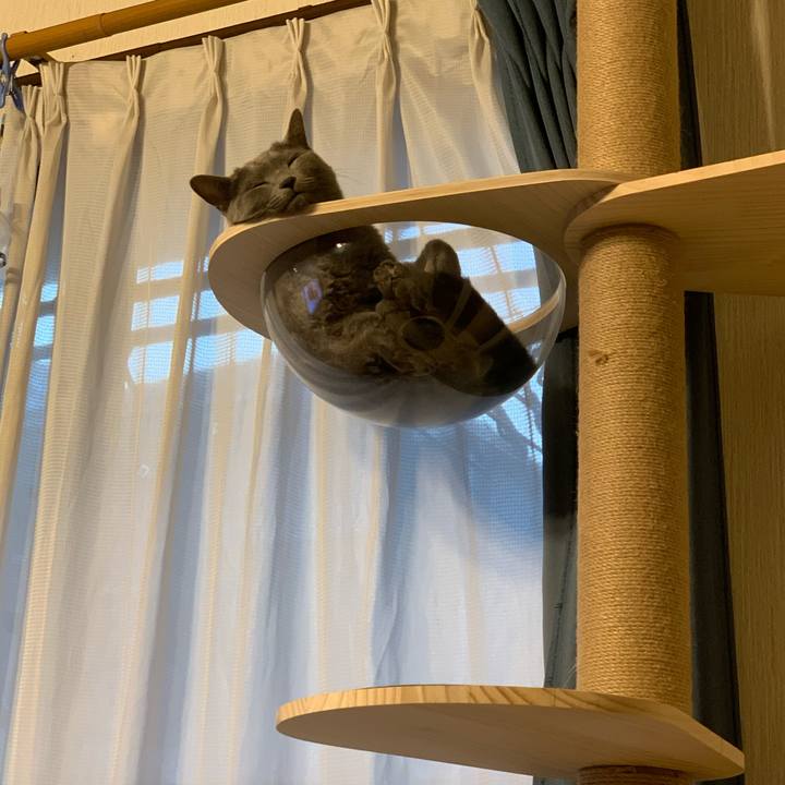 780fafee 7790 4d71 9192 e868f00783ab 1597525485995