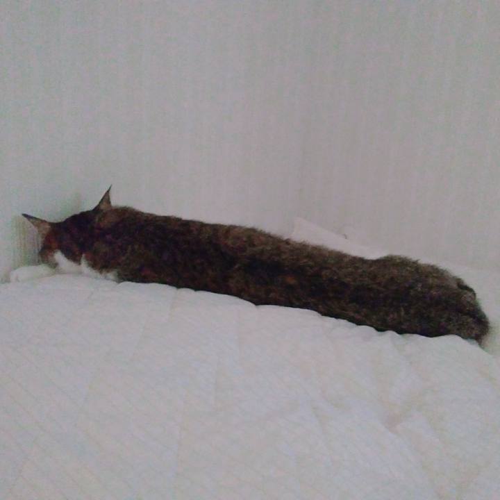 780fed8c 99db 4e03 b058 87dce283eb5b 1537670557614