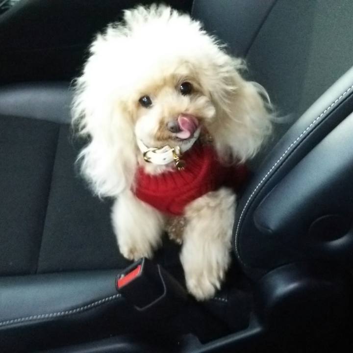 780ff16b 0224 428a 9c07 deda572df262 1544938293661