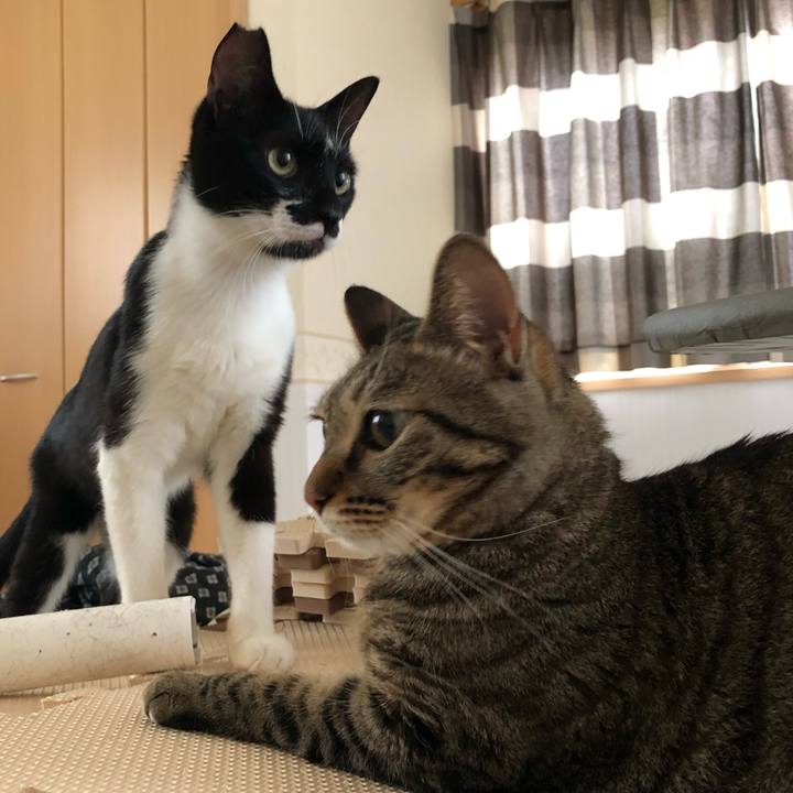 78104281 5533 408d bc14 56b2e91eb71a 1533931095669