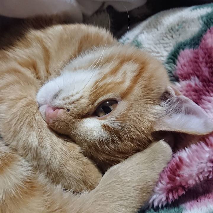 78105146 b1df 4f4e b548 43917cb3f6c0 1634993423818