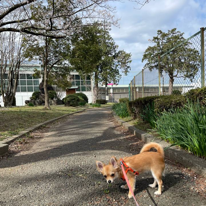 7810611f 0bd8 4d61 8afe 644a260ec097 1773977528596