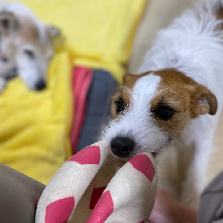 78107da3 daea 4e6f 988e 025d3b7b62d7 1699272230843