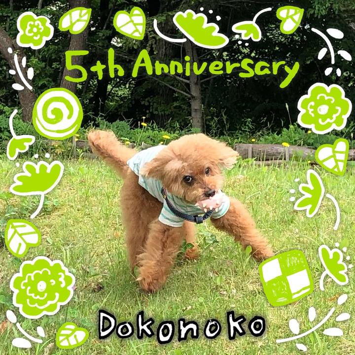 781089c8 de25 4588 a489 055c3bd2b8ad 1623892785406