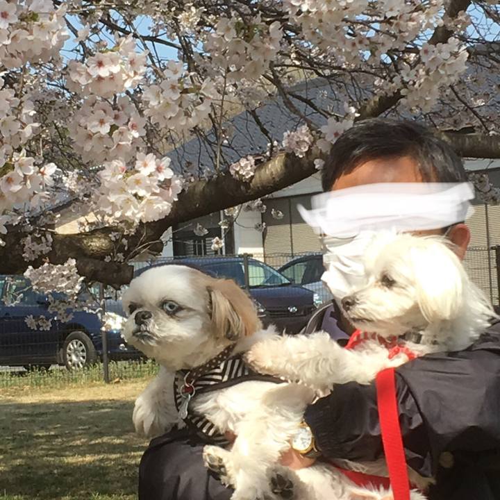 78109b6d 9b69 4330 989d 541aa9c1a0e1 1522467694851