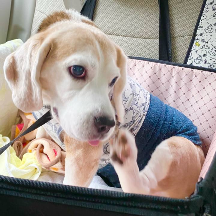 78109f32 c467 406d b801 9f364655e956 1653021015913